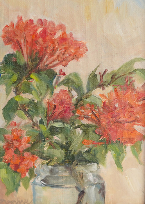 Orange Ixora,