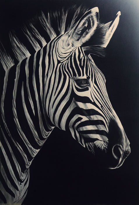 Majira(zebra)