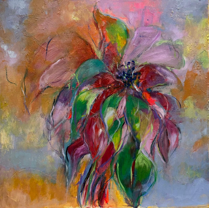 Poinsettia