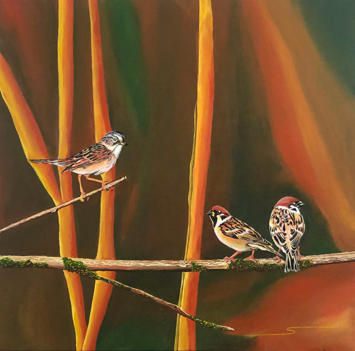 Sparrows in the woods