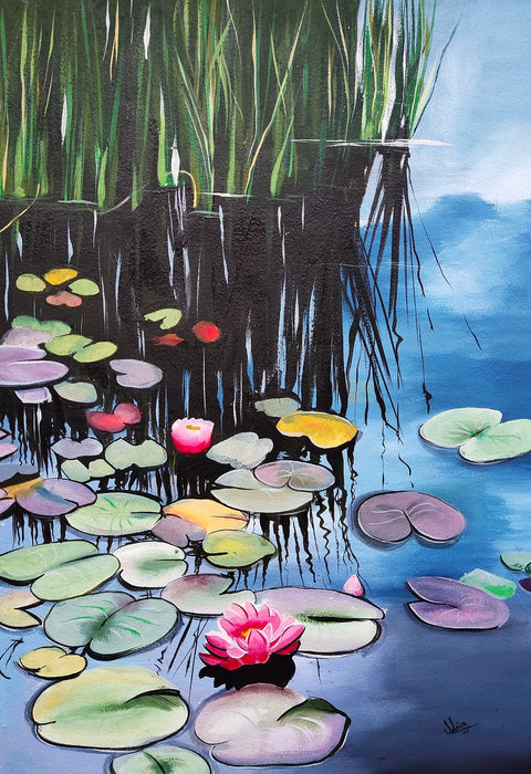 A pond of water lilies